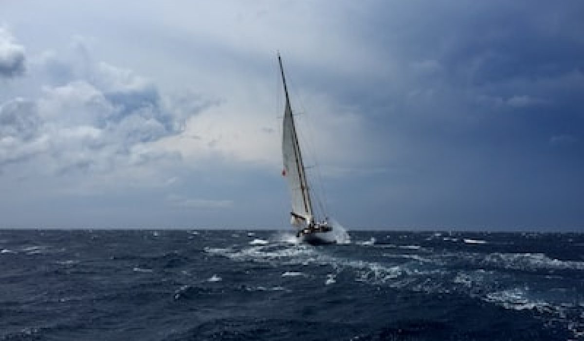 sailing kalamari